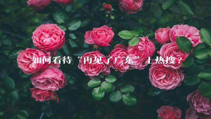 如何看待“再见了广东”上热搜?