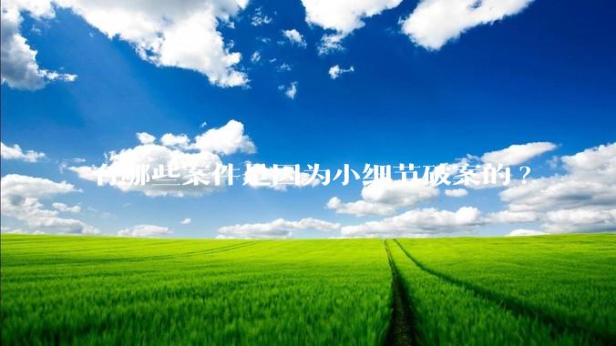 有哪些案件是因为小细节破案的?