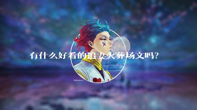 有什么好看的追妻火葬场文吗？