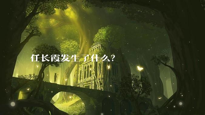 任长霞发生了什么？