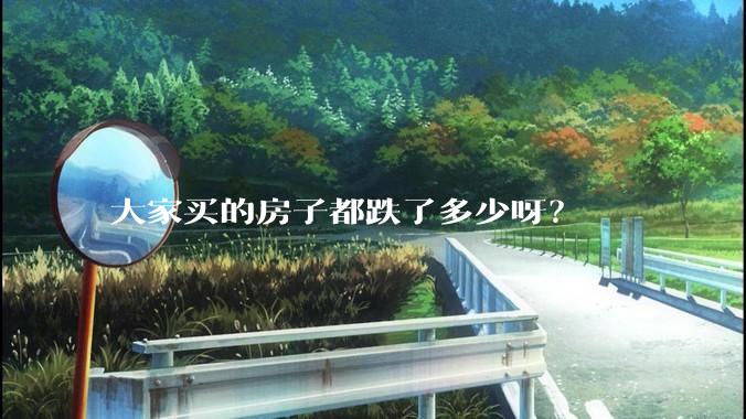 大家买的房子都跌了多少呀？