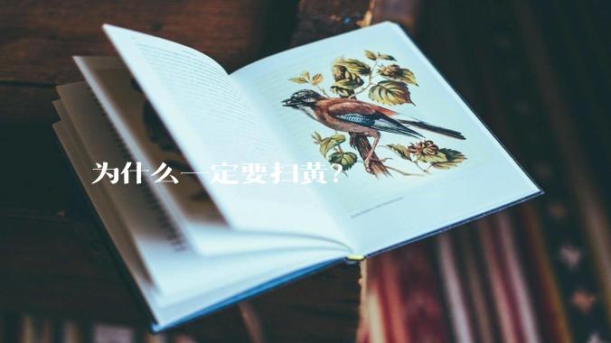 为什么一定要扫黄？