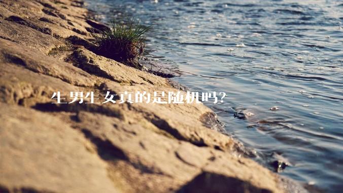 生男生女真的是随机吗？